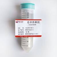 仑卡奈单抗—1260393-98-3- Lecanemab