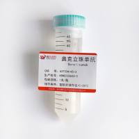奥瑞组单抗—637334-45-3-Ocrelizumab