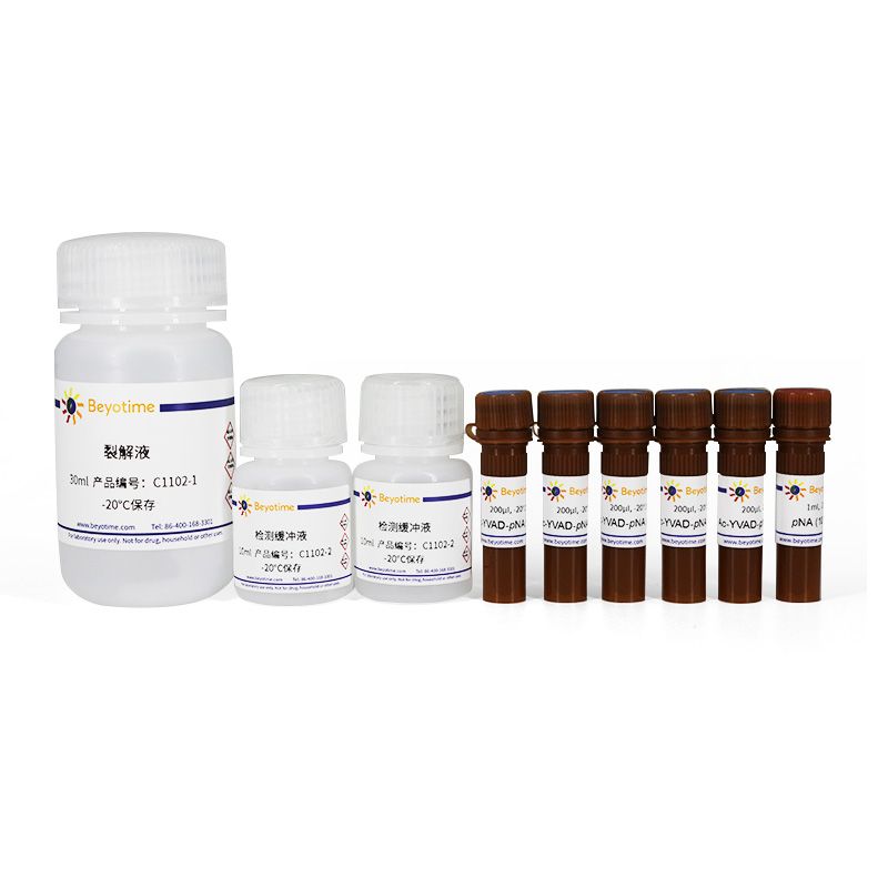 碧云天 C1101 Caspase 1 活性检测试剂盒