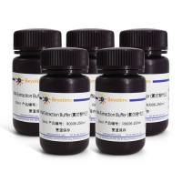 RNA Extraction Buffer (氯仿替代品)