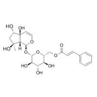 6'-O-肉桂酰基哈巴苷