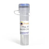 Pgrac100-C-His-Tet