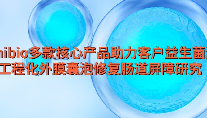 IF=14.6 | Umibio多款核心产品助力客户益生菌源工程化外膜囊泡修复肠道屏障研究！