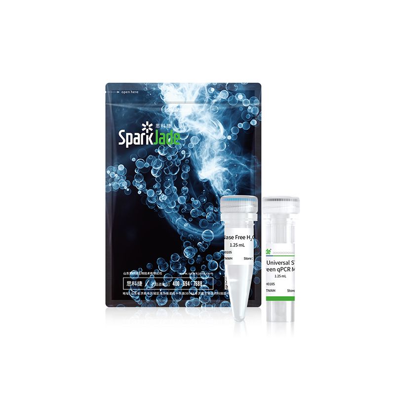 2× Universal SYBR Green qPCR Mix
