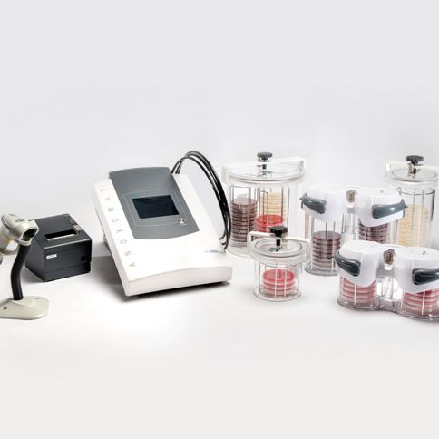 美国Advanced 智能厌氧培养系统  Anoxomat Mark III