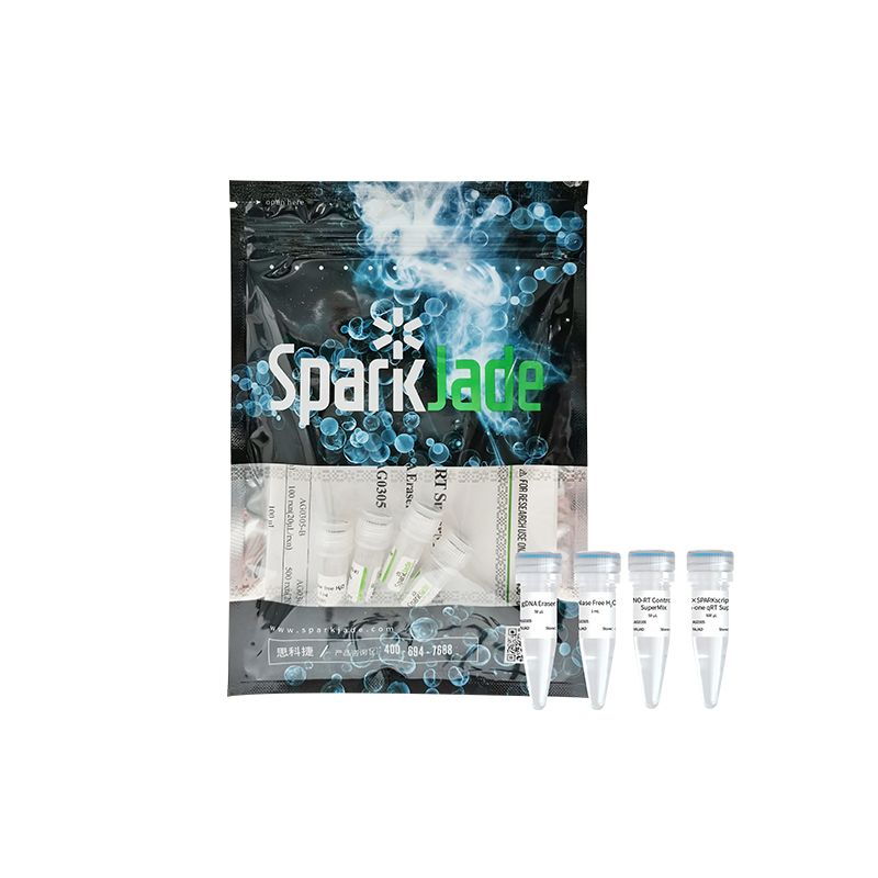 SPARKscript Ⅱ All-in-one RT SuperMix for qPCR(With gDNA Eraser)