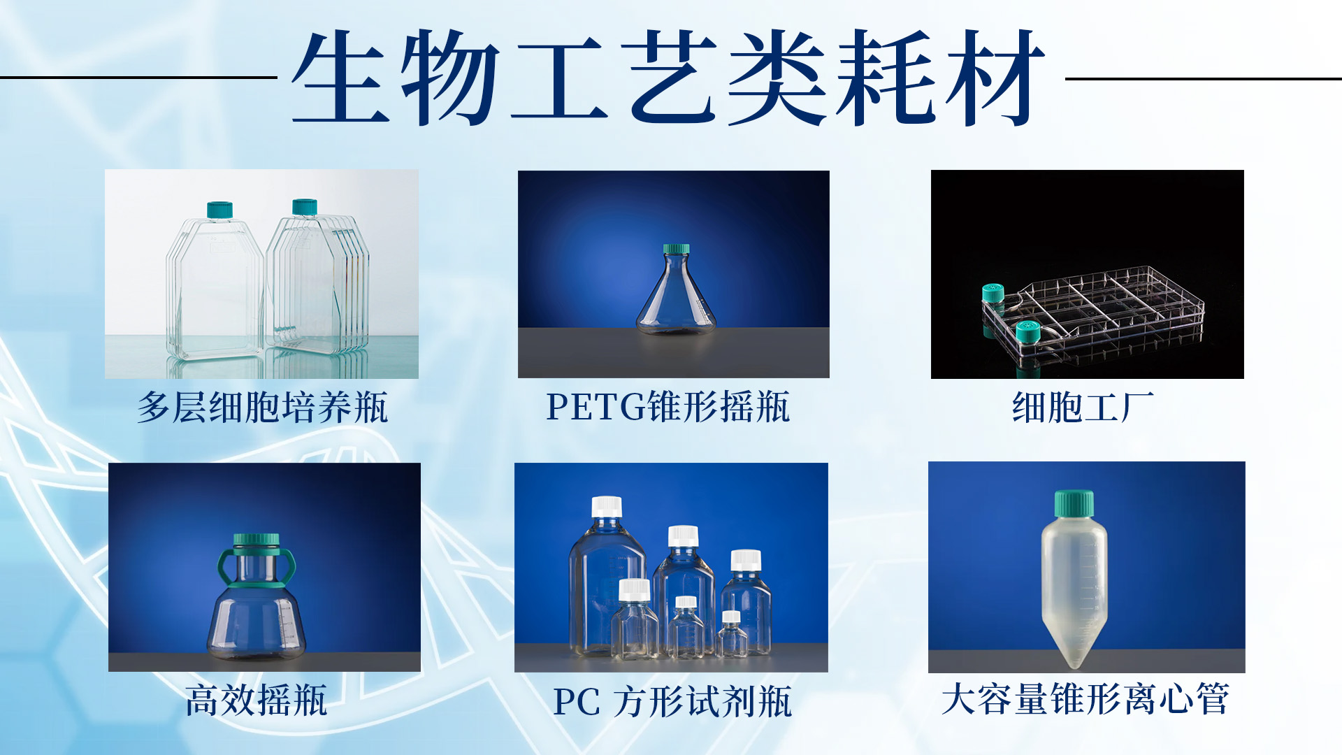 新闻图片7