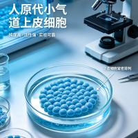 人原代小气道上皮细胞