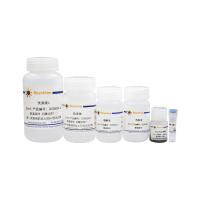 BeyoMag™磁珠法Cell-free DNA抽提试剂盒