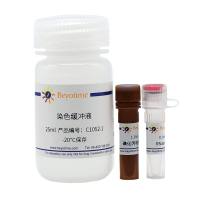 碧云天C1052 细胞周期与细胞凋亡检测试剂盒