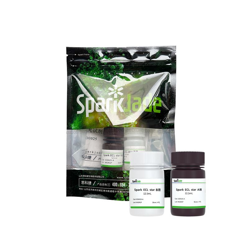 Sparkjade ECL star（特超敏化学发光试剂盒）