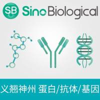 重组小鼠Klotho beta蛋白(His标签)