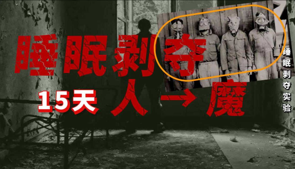 技术解析｜自动化睡眠研究新范式——基于闭环反馈的定向睡眠剥夺解决方案