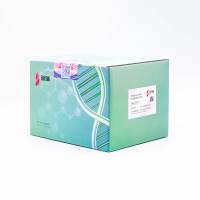 植物microRNA快速提取试剂盒