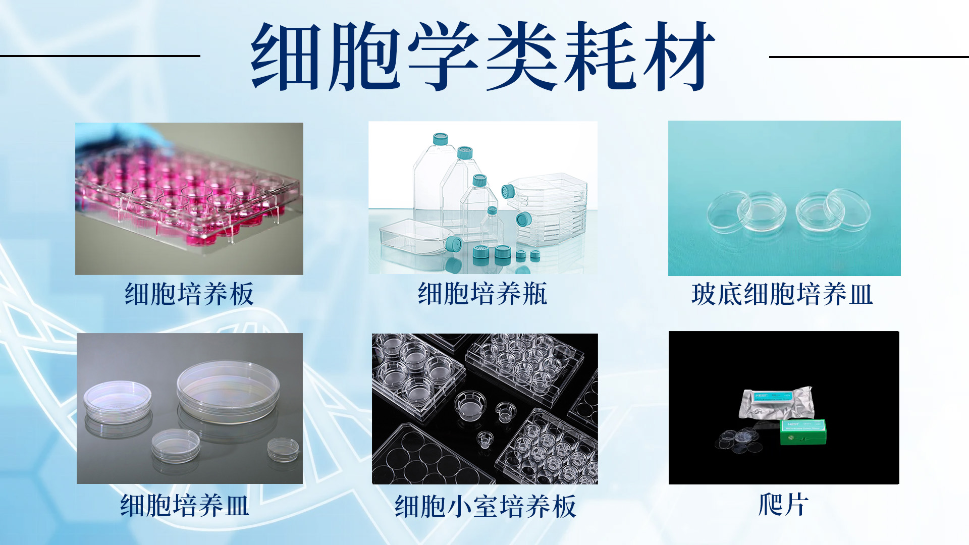 新闻图片4