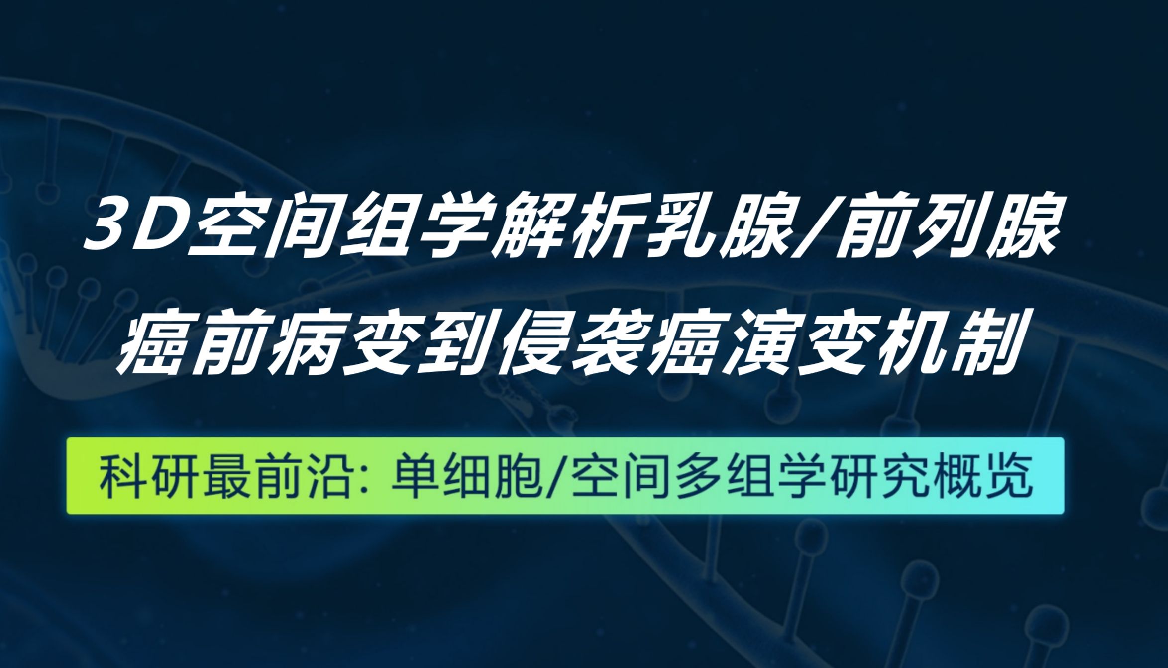 Cancer Discovery丨3D空间组学解析乳腺/前列腺癌前病变到侵袭癌演变机制