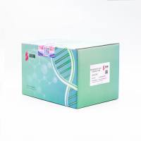 病毒核酸DNA/RNA快速提取试剂盒