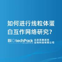 如何进行线粒体蛋白互作网络研究？