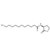 N-十二烷酰-L-高丝氨酸内酯，137173-46-7，≥98%，阿拉丁