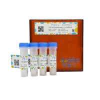NTP set (100mM each, Tris Buffered),BioReagent, 无DNA酶和RNA酶, PCR试剂, 分子生物学级, 无菌, 用于体外转录, for DNA and RNA applications, ≥99%, 100mM,阿拉丁