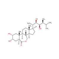 芸苔素内酯(Brassinolide),72962-43-7,分析标准品,阿拉丁