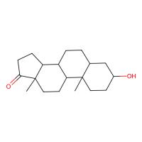 雄酮,53-41-8,10mM in DMSO,阿拉丁