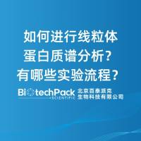如何进行线粒体蛋白质谱分析？有哪些实验流程？