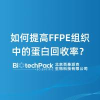 如何提高FFPE组织中的蛋白回收率？