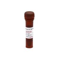 Proteinase K 蛋白酶K（20 mg/ml）