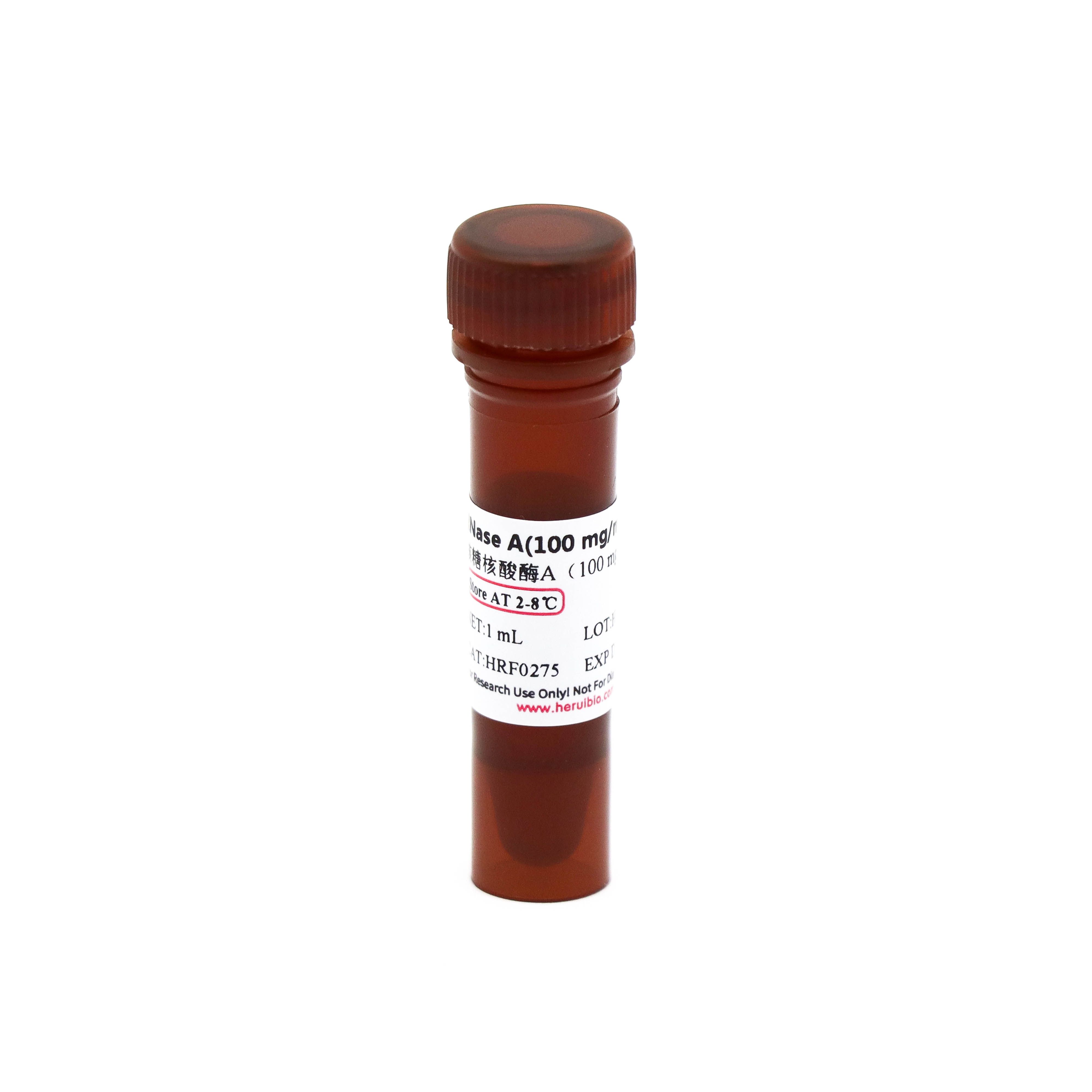 RNase A (100 mg/mL) 核糖核酸酶A（100 mg/mL）