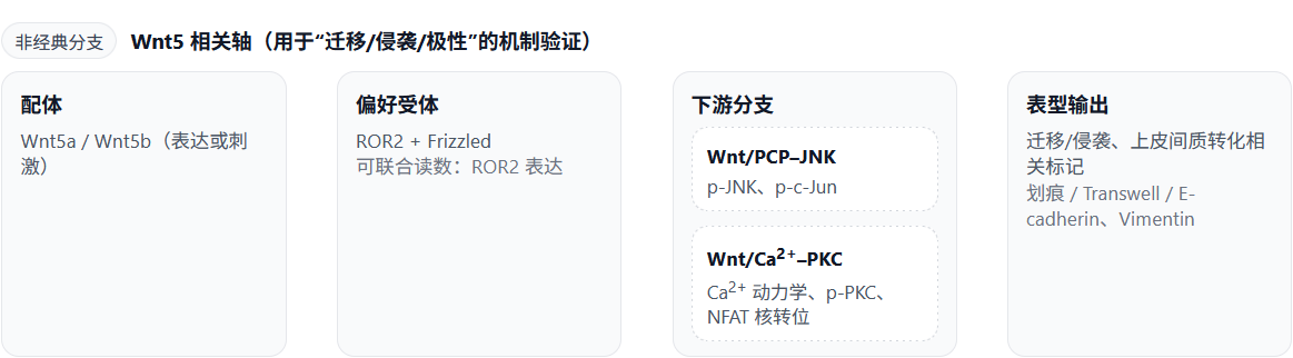 新闻图片2