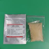 66309-69-1/头孢替安盐酸盐/Cefotiam hydrochloride