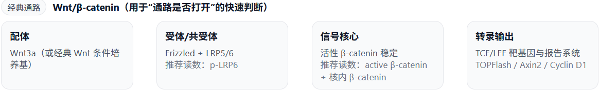 新闻图片1