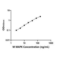 小鼠丝裂原激活蛋白激酶;MAP激酶(MAPK)ELISA试剂盒