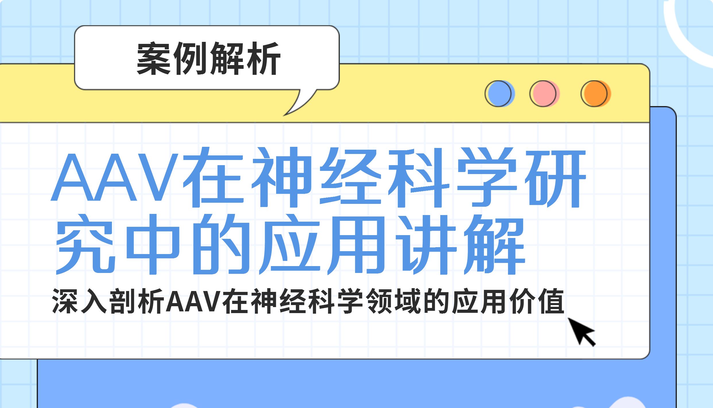 AAV在神经科学研究的应用讲解