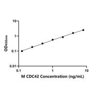小鼠细胞分烈周期因子42(CDC42)ELISA试剂盒