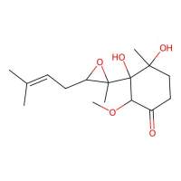 白蛋白 来源于鸡蛋白，9006-59-1，≥90%(agarose gel electrophoresis), lyophilized powder，阿拉丁