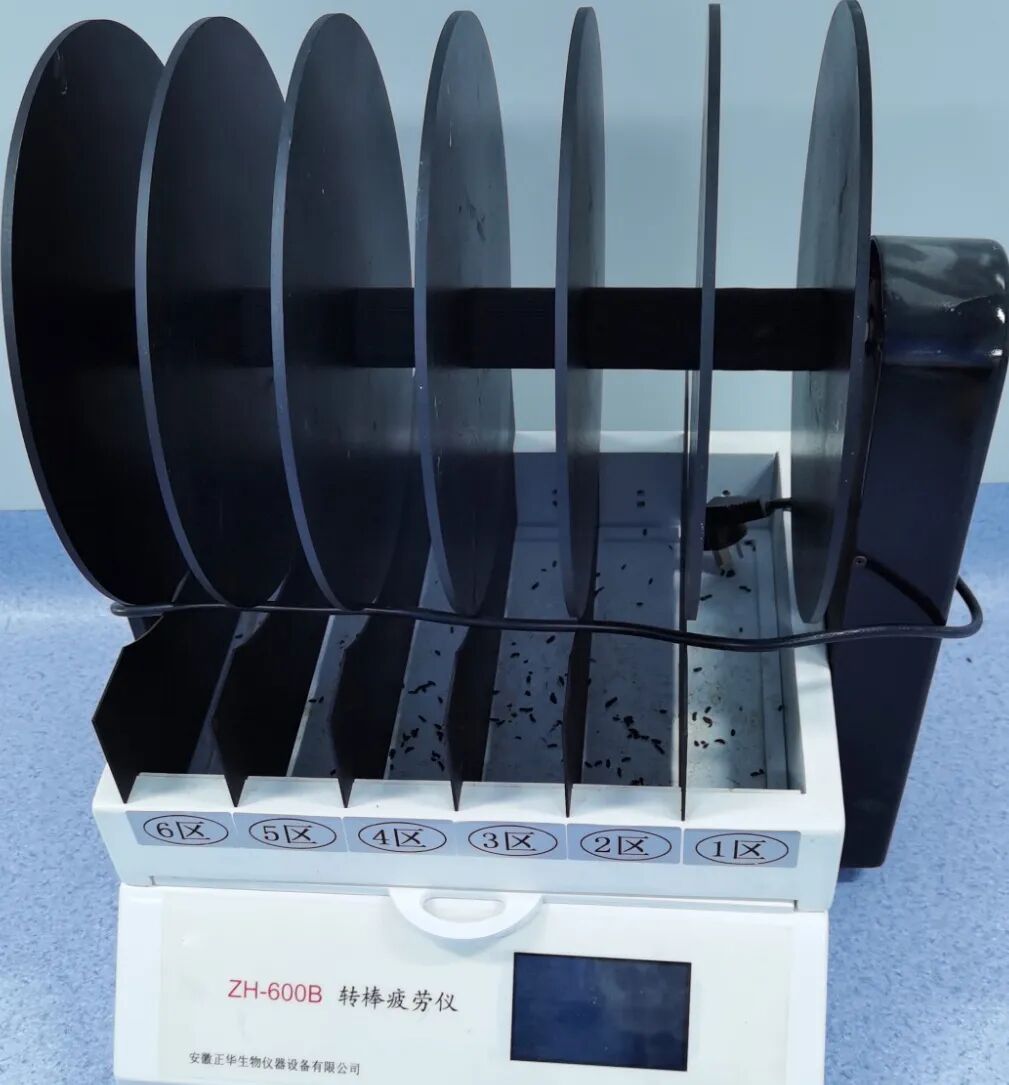 先养细胞还是先上小鼠？MDL用案例讲透