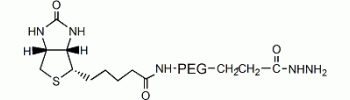 生物素 PEG 酰肼, 生物素 PEG NHNH2,MW 5000 Da,阿拉丁产品图