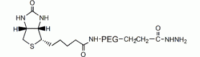 生物素 PEG 酰肼, 生物素 PEG NHNH2，MW 5000 Da，阿拉丁
