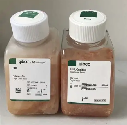 Gibco 胎牛血清：全球细胞培养的金标准与品质保障