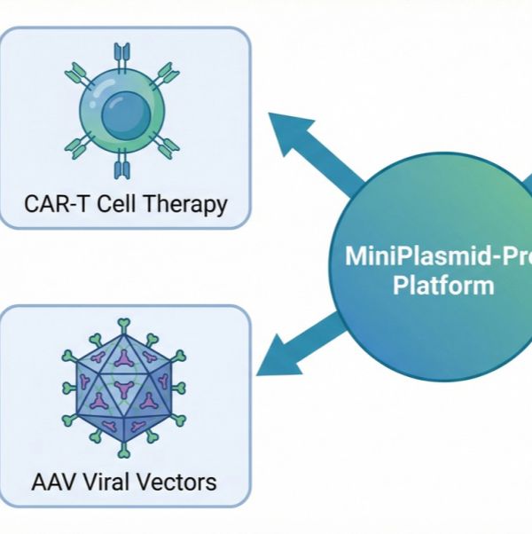 MiniPlasmid