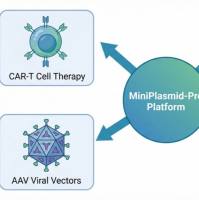 MiniPlasmid