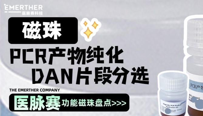 PCR产物纯化：一步磁珠法，去引物，高得率