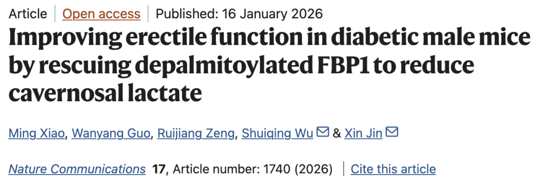 客户佳作｜恢复去棕榈酰化FBP1以减少海绵体乳酸堆积，改善小鼠勃起障碍