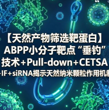 【天然产物筛选靶蛋白】ABPP小分子靶点“垂钓”技术+Pull-down+CETSA+IF+siRNA揭示天然纳米颗粒作用机制产品图