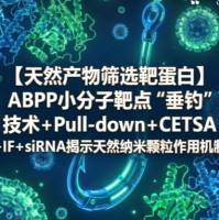 【天然产物筛选靶蛋白】ABPP小分子靶点“垂钓”技术+Pull-down+CETSA+IF+siRNA揭示天然纳米颗粒作用机制