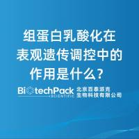 组蛋白乳酸化在表观遗传调控中的作用是什么？