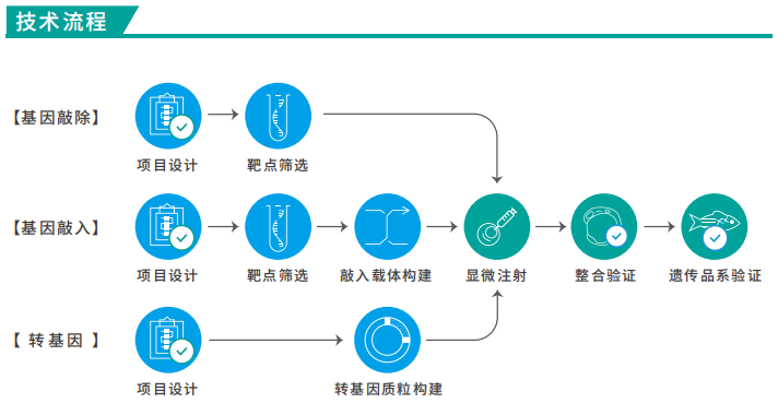 产品细节图片1