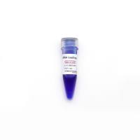 5×RNA loading buffer 5×RNA上样缓冲液